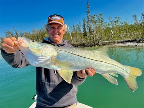 Naples Fishing Charters Latest Report Naples Marco Island Fishing