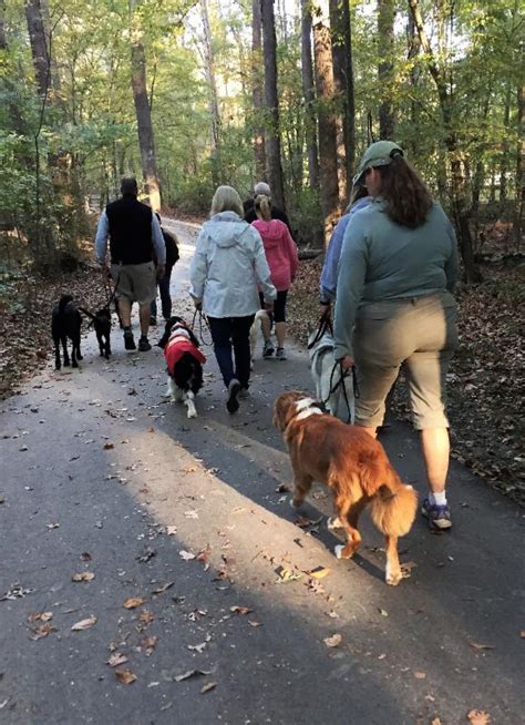 Memories From Our Fall 2016 Pack Walk Carolina Dog Training Llc