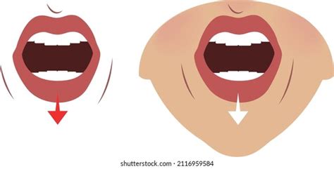 Exercises Expression Muscles Around Lips Mouth Stock Vector (Royalty ...