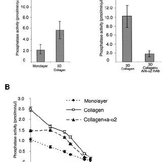 Regulation Of Akt Phosphorylation Involves Serine Threo Nine