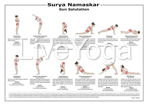 A4 Surya Namaskar Sequence Póster Educativo De Saludo Al Sol Etsy México