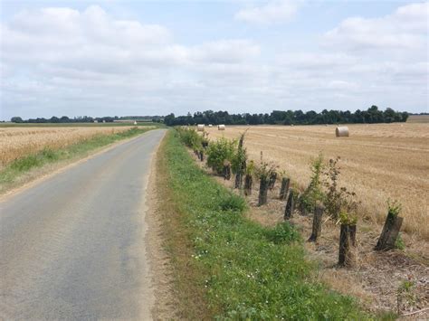 Action Autour Du Bocage Et De La Haie Dans L Allier Sensibilisation