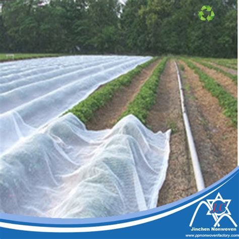 PP Spunbond Nonwoven Fabric For Agriculture Plain Weed Control China