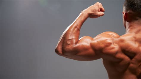 Best 5 Exercises To Build Big Biceps Caloriebee