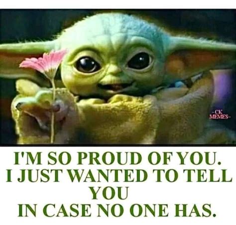 Pin By Dee Dee Boswell On Baby Yoda Cartoon Character Pictures Funny