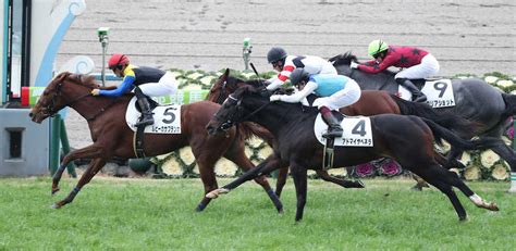 ＜京都6r新馬戦＞2着に34馬身差で勝利しデビュー戦を飾ったルビーカサブランカ（左）（撮影・奥 調） ― スポニチ Sponichi