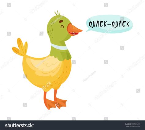 Duck Open Mouth Making Quack Sound Stock Vector (Royalty Free) 1757925659 | Shutterstock