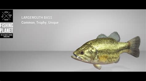 Fishing Planet Quanchkin Lake Unique Largemouth Bass Float