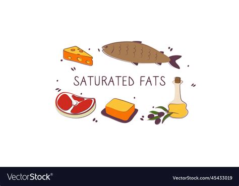 Saturated fatty acids-containing food groups Vector Image