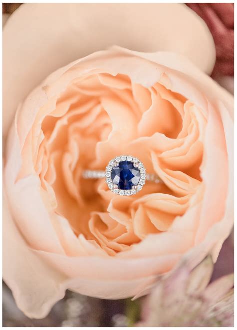 The strange case that completely baffled the White Plains City Court 36