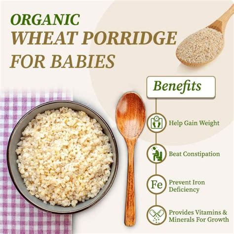 Health benefits of wheat porridge - KFC Menu