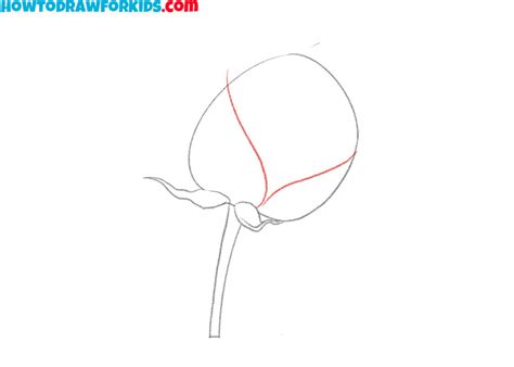 How to Draw a Realistic Flower - Easy Drawing Tutorial For Kids