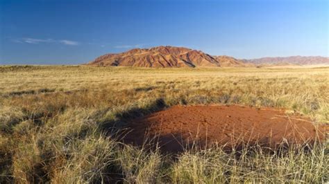 Fairy Circles Found In Australia Iflscience