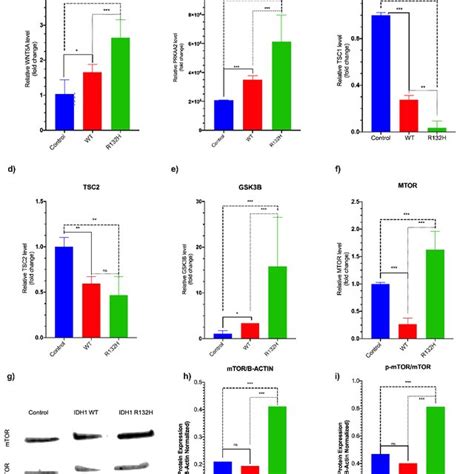 Idh Mutation Activates Mtor Signaling Pathway Promotes Cell