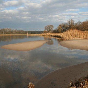 Mittelelbe Biosphärenreservat Mittelelbe