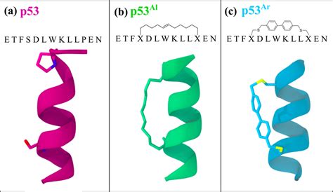 Sequences And Structures Of The Three Peptides A P53 B P53 Al And