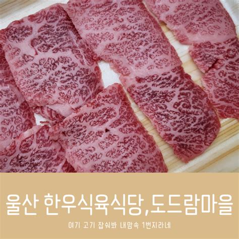 울산 한우 맛집 진장동 도드람마을 소고기 룸식당 정육점 네이버 블로그