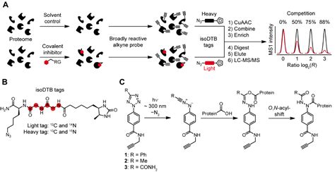 Covalent Modifiers: 2019 
