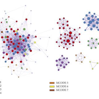 Protein-protein interaction network. | Download Scientific Diagram