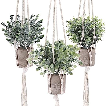 Amazon Cewor Fake Hanging Plants Pack Artificial Plants With