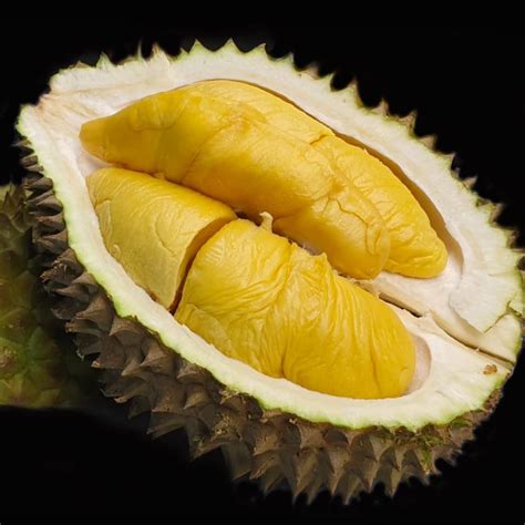 Mao Shan Wang Durians Msw Old Tee Premium Quality Durian Express