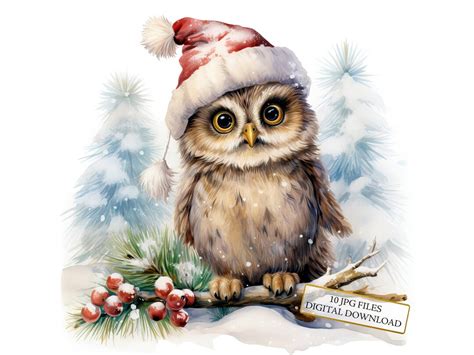 Adorable Christmas Owl Clipart Bundle 10 High Quality Watercolor Jpgs