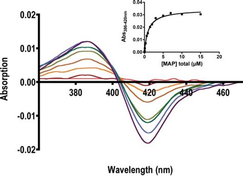 UV Visible Difference Spectra From Titration Of CYP2A13 With Increasing