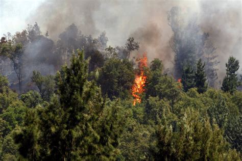 Incendio Forestal En Sierra Norte Controlado En Un Por Ciento Rosy