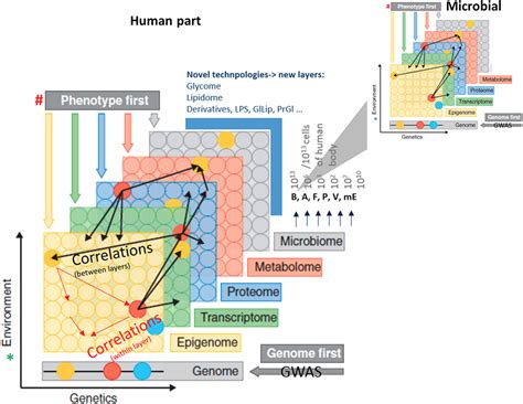 Mechanistic Modeling And Multiscale Applications For Precision Medicine