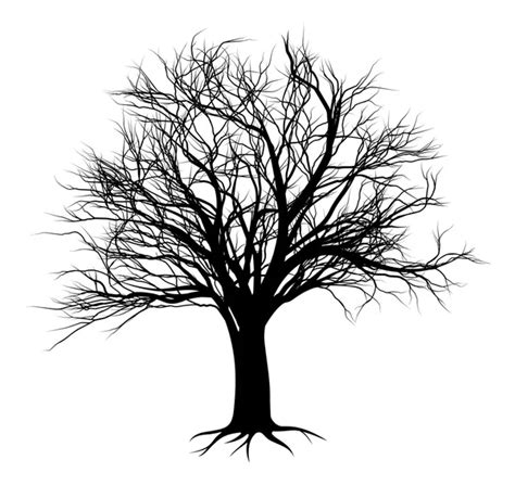 Hand Drawn Old Tree Silhouette Stock Vector Image By ©krisdog 6654309