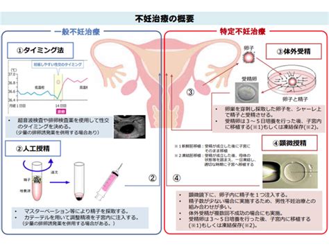 不妊治療の方法・費用に大きなバラつき、学会ガイドライン踏まえ「保険適用すべき不妊治療技術」議論へ―中医協総会（3） Gemmed