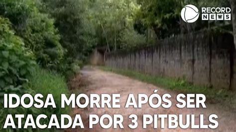 Idosa Morre Ap S Ser Atacada Por Tr S Pitbulls Youtube