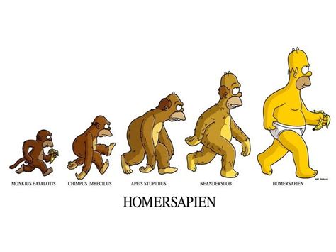 Homersapien Evolution Homer Simpson TV 32x24 Print POSTER