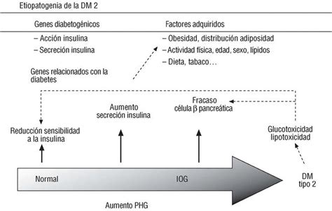 Diagnóstico Clasificación Y Patogenia De La Diabetes Mellitus