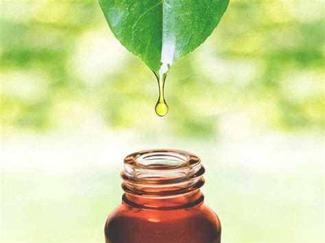 Essential Oils for Shingles: Medical Experts Weigh In