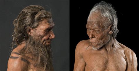 Only competition with humans can explain the sudden extinction of ...