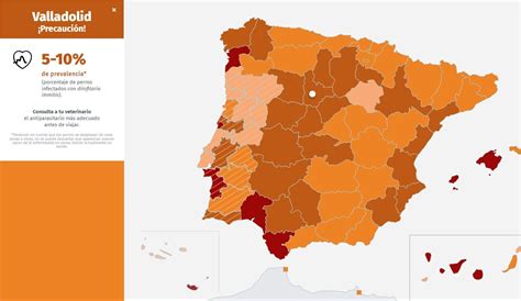 La dirofilariosis o enfermedad del gusano del corazón