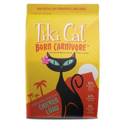 15 Best Dry Cat Food Brands: Your Buyer's Guide (2019)