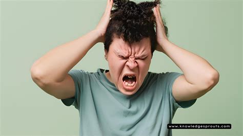 similes  angry  colorful comparisons  express rage