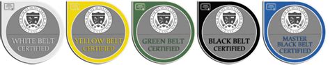 Six Sigma Badges The Council For Six Sigma Certification