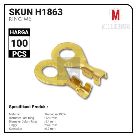 Jual Terminal Skun Bulat Gepeng Ring M6 Baut 10 Skun Aki Massa Motor