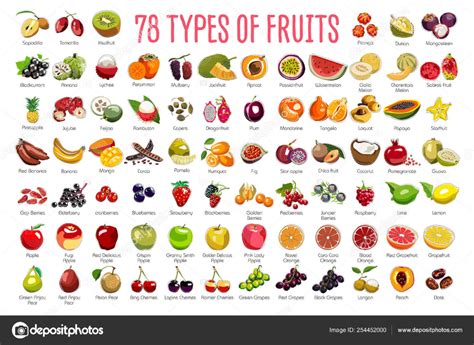 Fruits Icons A Huge Set Includes 78 Types Of Colorful Fruits With Names