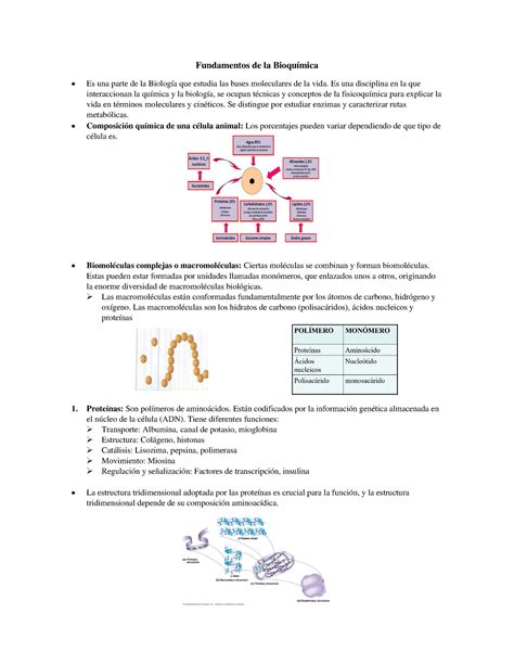 Solemne Bioquimica Unab Med Vet Fundamentos De La Bioqu Mica Es