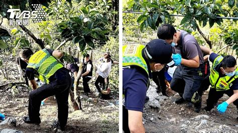 離奇！鐵網上驚見遺體 七旬獨居翁「倒栽蔥式」陳屍果園│台中│和平│果農│tvbs新聞網