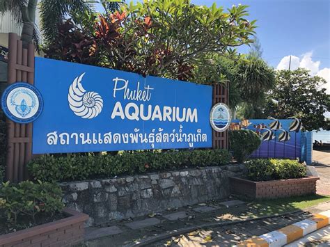 The Comprehensive Guide to Phuket Aquarium : Your Window to the Wonders ...