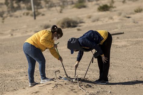 La Jornada Colectivo busca en Valle de Mexicali a jóvenes