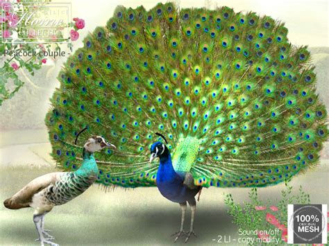 Second Life Marketplace Peacock Couple