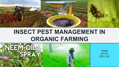 Pest Management In Organic Farming Ppt