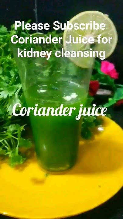 Detoxifying Green Juice Coriander Juice Healthydrink Summerdrink Corianderjuice Shorts