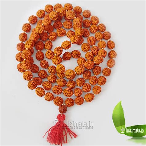 Original Rudraksha Japa Mala Beads Tulsi Mala